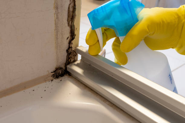 Crawl Space Mold Removal in Green, OR