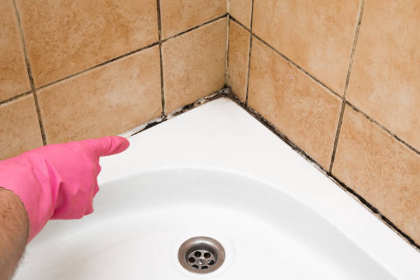 Best Mold Damage Repair  in Green, OR